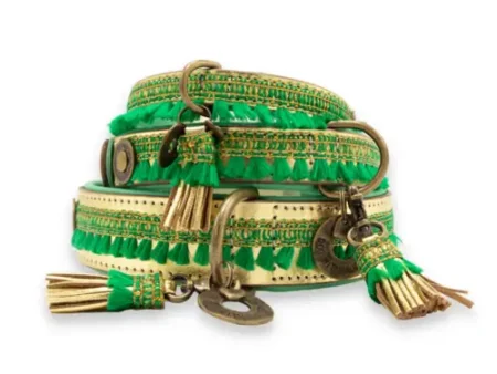 Collier Party Animal (16-22 cm)