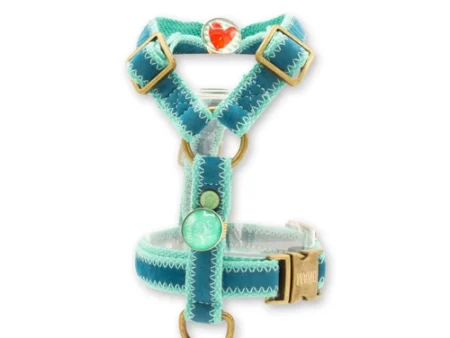 Harnais Streetwear Storm + laisse (dernière pièce !)