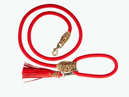 Laisse rouge Gypsy
