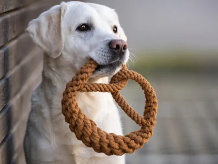 Jouet Bretzel en coton naturel LABONI