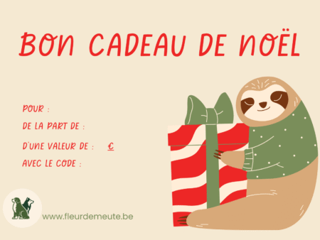 Carte cadeau de Noël