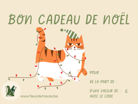 Carte cadeau de Noël