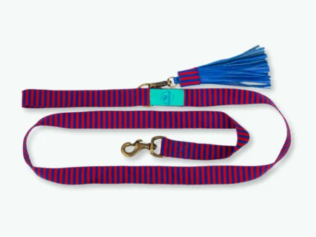 Laisse premium pour chien Mr Clooney en coton