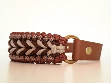 Collier tressé chic pour chien – Biothane & paracorde
