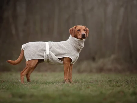 Peignoir séchant pour chien