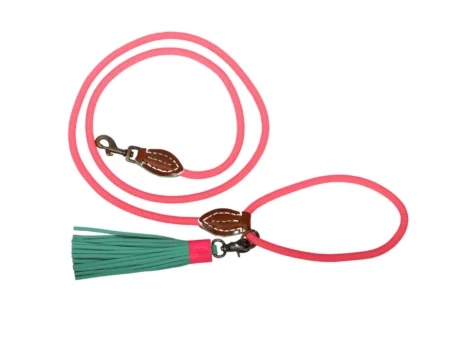 Laisse rose élégante pour petit chien Sugarbabe