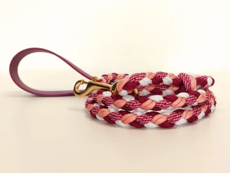 Laisse tressée chic pour chien – Biothane & paracorde