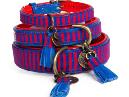 Collier en cuir rayé pour chien Mr Clooney