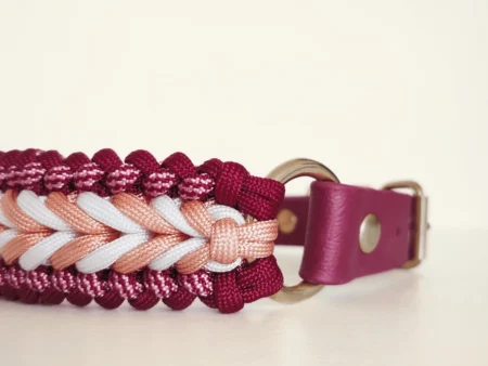 Collier tressé chic pour chien – Biothane & paracorde