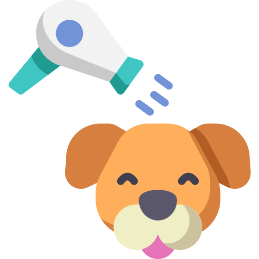 Hygiène & toilettage