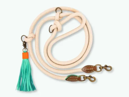 Laisse pour chien en corde sable extra longue – Ajustable & mains libres