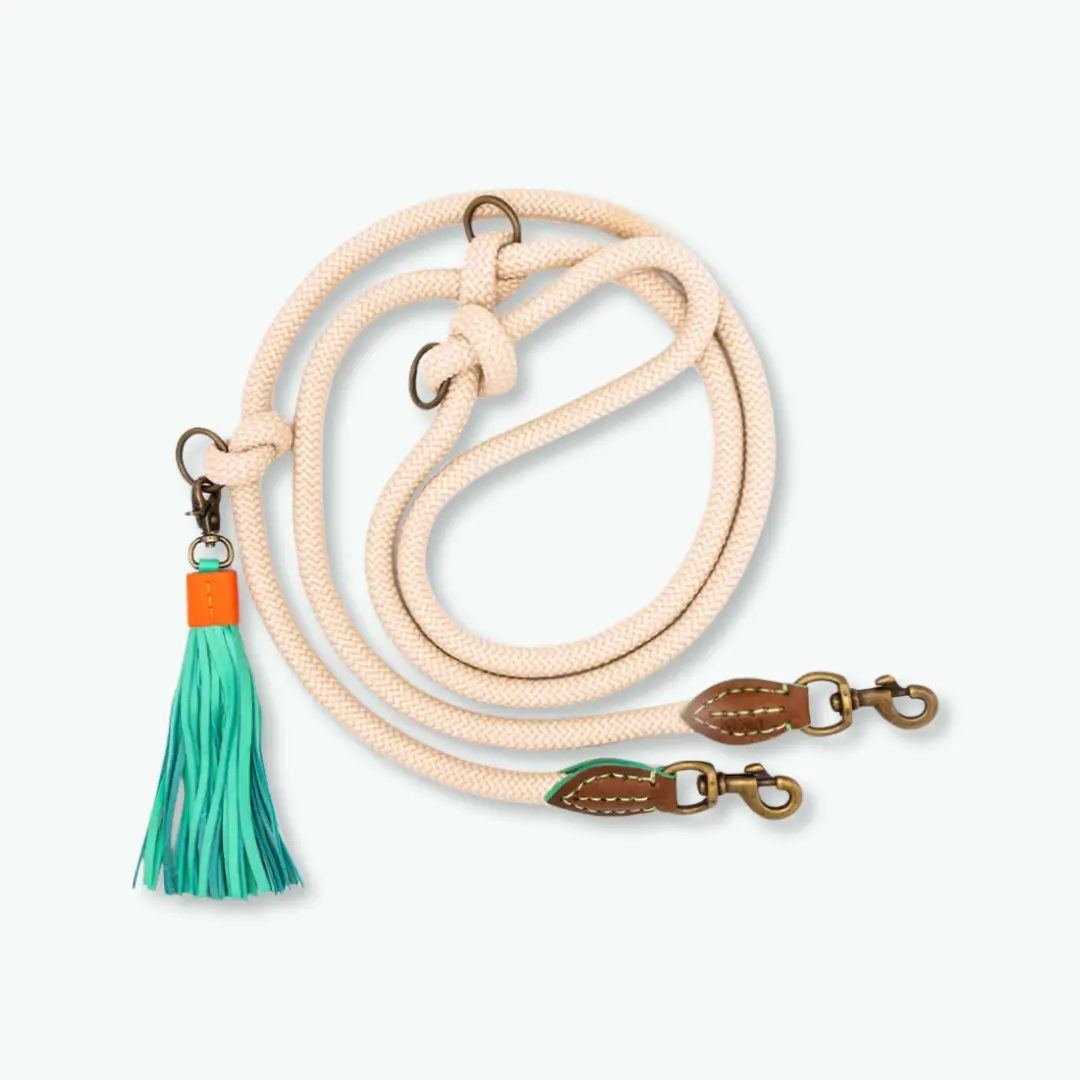 Laisse pour chien en corde sable extra longue – Ajustable & mains libres