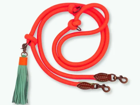 Laisse orange extra longue