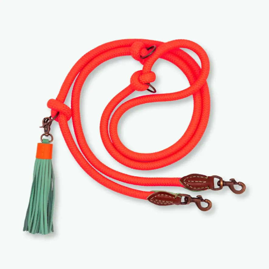 Laisse orange extra longue