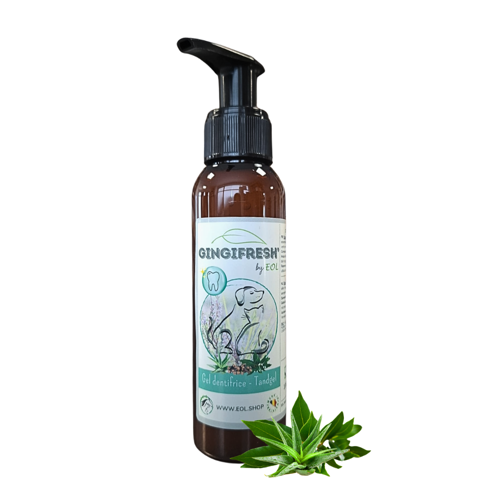 Gingifresh – gel pour l’hygiène bucco-dentaire - EOL