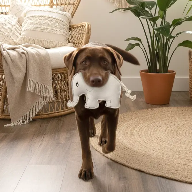 Jouet naturel pour chien - Emile l'Éléphant – Image 3