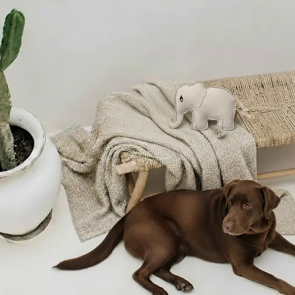 Jouet naturel pour chien - Emile l'Éléphant – Image 2