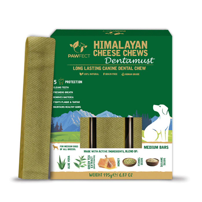 Pawfect DENTAMUST mastication dentaire chien aloe miel thé vert Medium