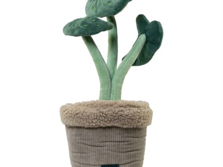 Tapis de fouille chien Pawtanic Plante du Jardin | Fleur de Meute