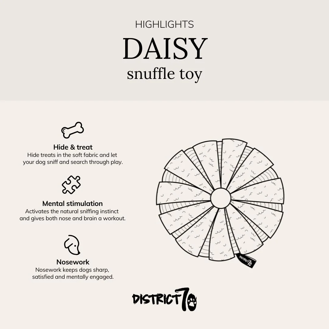 DAISY – Jouet de fouille pour chien – Image 3