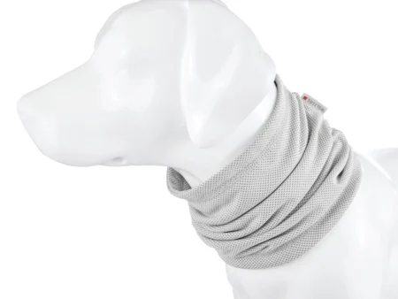 Écharpe rafraîchissante pour chien – Gris.