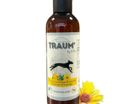 EOL Traum’eol Sport gel à l’arnica pour chien sportif 200 ml