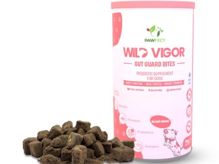 Complément pour la digestion et la flore intestinale