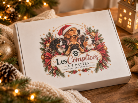 Calendrier de l’Avent 2026 pour chien – Les Complices à 4 Pattes