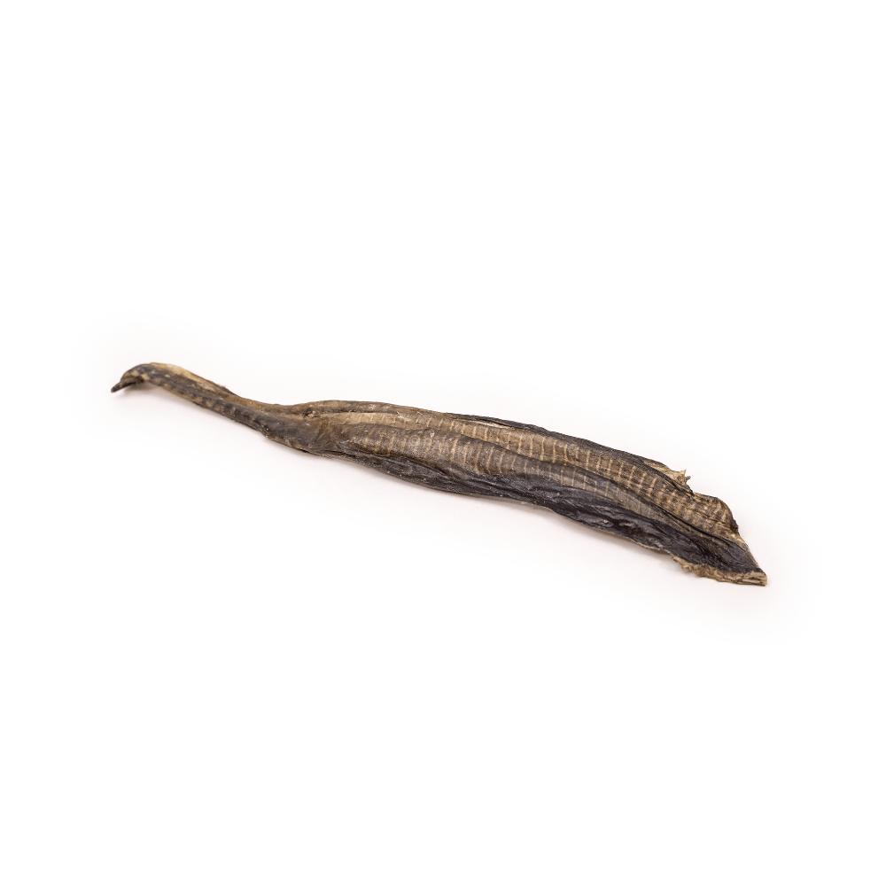 Peau de poisson-chat séchée entière, friandise naturelle pour chien, Fleur de Meute.